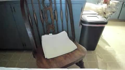 armalite16 online show from November 13, 2025, 6:23 am