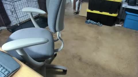 armalite16 online show from January 16, 2026, 5:11 am