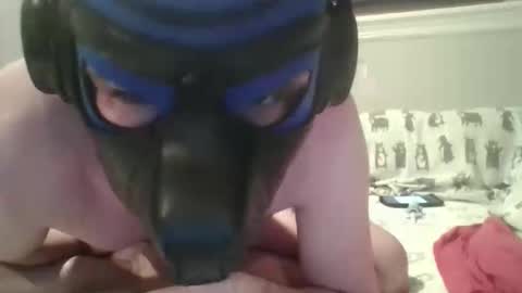 arrowpup online show from June 5, 2026, 9:09 pm