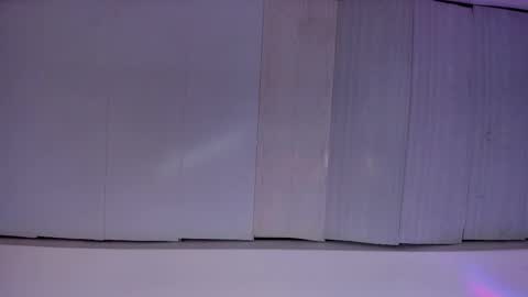 Snapshot of artemis_020 chatting on November 23, 2025, 3:06 am FENIX online show from November 23, 2025, 3:06 am