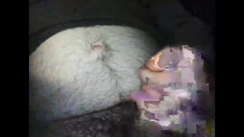 Snapshot of artur072 chatting on January 12, 2025, 5:03 am rocco online show from January 12, 2025, 5:03 am