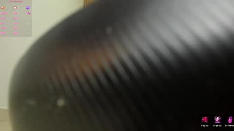 Snapshot of arya_ruiz chatting on December 30, 2024, 3:24 pm Arya online show from December 30, 2024, 3:24 pm