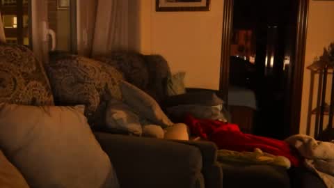 Snapshot of ascbi chatting on January 15, 2025, 6:08 pm Troy online show from January 15, 2025, 6:08 pm