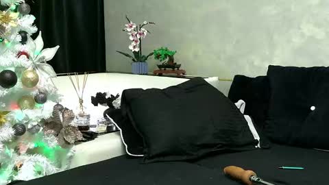 Asha online show from December 23, 2024, 1:08 am