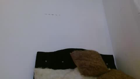 Snapshot of ashleyt1998 chatting on April 5, 2026, 2:25 pm ASHLEY online show from April 5, 2026, 2:25 pm