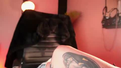 PAO   online show from June 13, 2026, 6:55 am