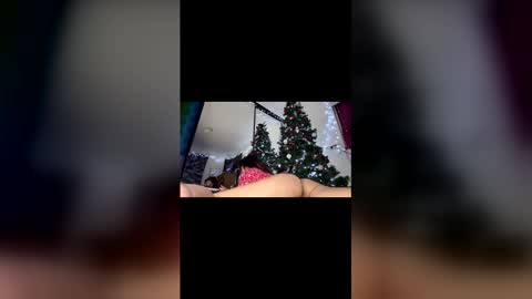 asian_babeee online show from December 2, 2025, 1:00 am