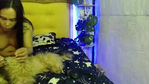 asianladyboy888 online show from March 11, 2026, 4:57 pm