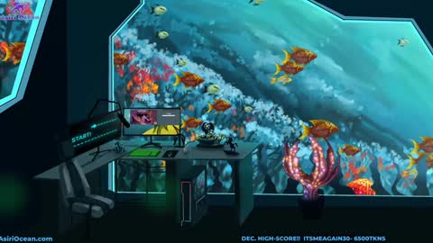 Asiri   pronounced Ah-siri Please no nicknames   3 online show from December 17, 2025, 7:42 pm