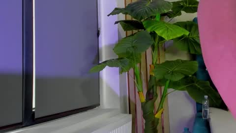 AsshleySing online show from February 23, 2026, 6:00 am