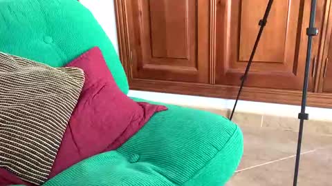 Snapshot of aurerex chatting on November 7, 2025, 11:54 am aurerex online show from November 7, 2025, 11:54 am