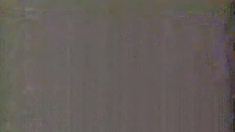 Snapshot of auroraandorion chatting on January 15, 2025, 3:33 am Aurora and Orion online show from January 15, 2025, 3:33 am