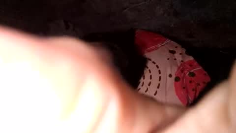 auroraangels1 online show from April 1, 2026, 2:01 am