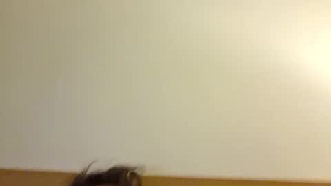 Snapshot of aussie_dadbod6969 chatting on May 3, 2026, 1:44 am aussie_dadbod6969 online show from May 3, 2026, 1:44 am