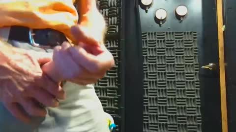 Snapshot of aussieraz chatting on November 4, 2025, 8:02 am aussieraz online show from November 4, 2025, 8:02 am