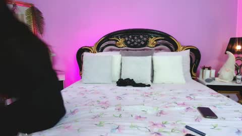 Snapshot of avaaaddams chatting on December 9, 2024, 5:40 am Pamela online show from December 9, 2024, 5:40 am