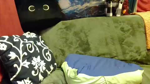 raven blue online show from January 6, 2025, 11:29 am