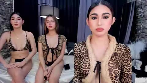 Snapshot of avimiller chatting on February 8, 2025, 5:39 pm avimiller online show from February 8, 2025, 5:39 pm