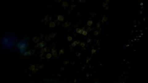 Axell Cross2 online show from July 9, 2026, 4:38 am