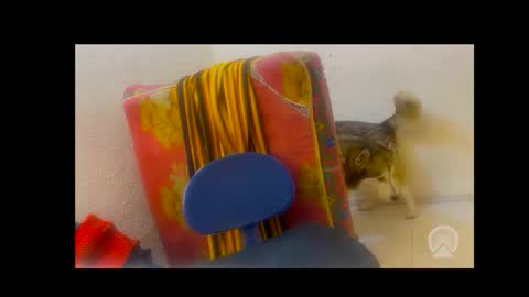 deliciosodemente online show from February 4, 2026, 5:02 am