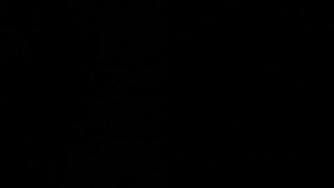 Snapshot of aydenmillerdom chatting on December 2, 2024, 6:52 am Ayden Miller online show from December 2, 2024, 6:52 am