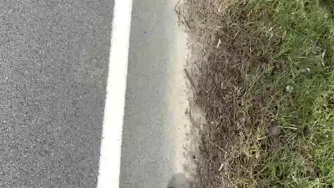 AylaTy online show from March 15, 2026, 8:15 pm