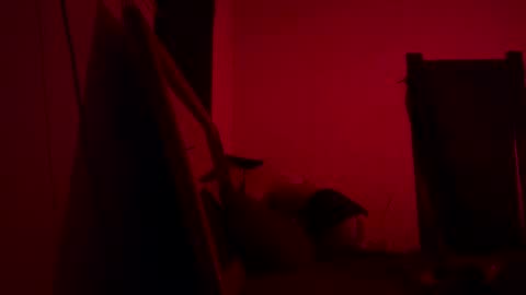 Snapshot of babyboox1 chatting on February 25, 2025, 7:52 am yasmin blake online show from February 25, 2025, 7:52 am