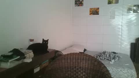 Snapshot of babydemon6 chatting on November 14, 2025, 6:50 pm babydemon6 online show from November 14, 2025, 6:50 pm