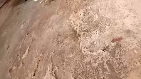 Megan online show from October 2, 2025, 9:22 pm