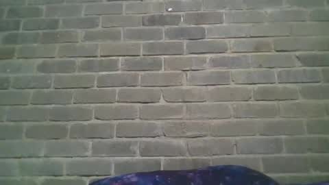 Chaterlain online show from January 19, 2025, 1:01 pm