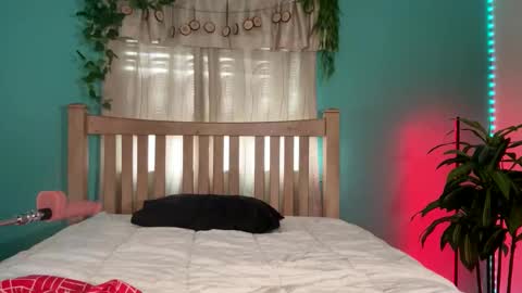 My name  BailiJade   online show from September 9, 2025, 3:44 pm