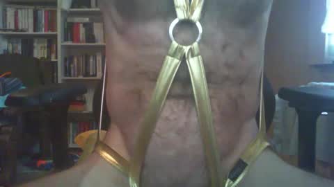 Snapshot of bakkus2307 chatting on December 31, 2024, 9:10 am bakkus2307 online show from December 31, 2024, 9:10 am