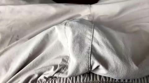 ballafau1213 online show from February 18, 2026, 7:10 pm