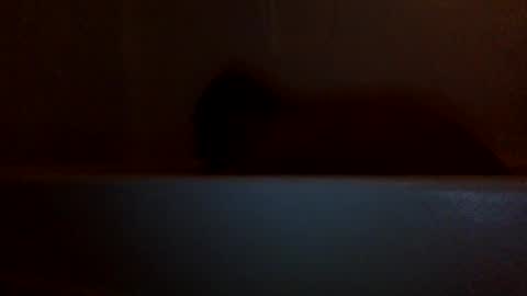 lets fuck my cock online show from December 5, 2024, 7:27 am