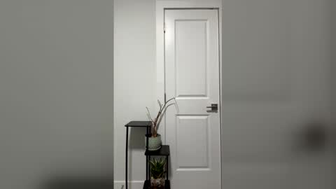 bangtommy online show from March 9, 2026, 7:34 am