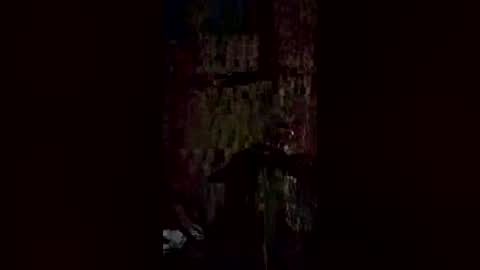 barajasfredy57 online show from June 23, 2026, 8:12 am
