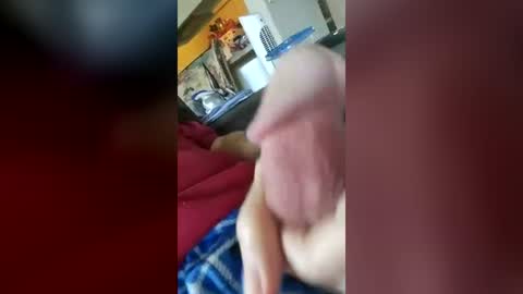 barbitall online show from July 17, 2026, 2:56 pm