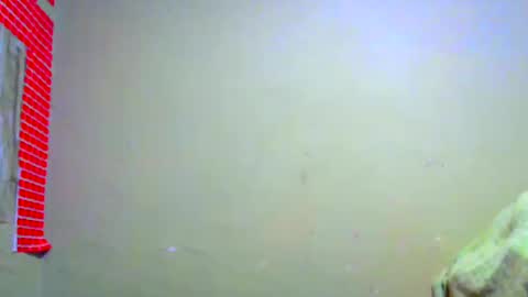 Blaky online show from September 10, 2025, 10:04 am