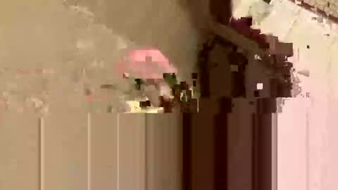 Snapshot of barkley314 chatting on November 3, 2025, 2:18 pm barkley314 online show from November 3, 2025, 2:18 pm