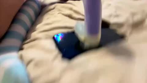 bathingcat online show from November 27, 2025, 9:55 am