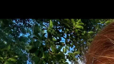 Snapshot of battyredhair chatting on April 6, 2026, 6:25 am Battyredhair online show from April 6, 2026, 6:25 am