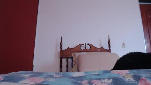 Snapshot of bayonette_black chatting on September 27, 2025, 12:10 pm bayonette_black online show from September 27, 2025, 12:10 pm