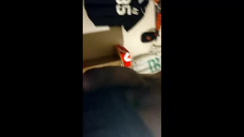 baz_esp online show from April 5, 2026, 11:29 am