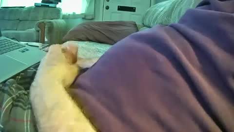 Snapshot of bcema2 chatting on September 26, 2025, 5:28 pm bcema2 online show from September 26, 2025, 5:28 pm