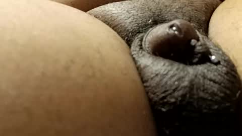 bcfalcon69 online show from February 24, 2026, 11:58 pm