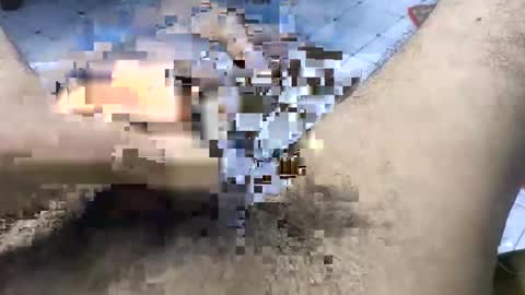 Snapshot of bd_sam_69 chatting on November 2, 2025, 9:50 pm bd_sam_69 online show from November 2, 2025, 9:50 pm