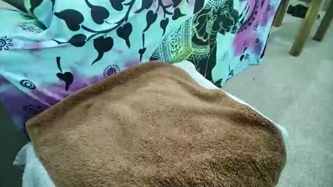mikiforfun online show from May 6, 2026, 9:25 am