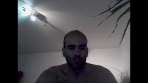 bear14250949 online show from December 21, 2025, 9:05 am