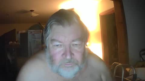 bear online show from May 17, 2026, 7:28 am