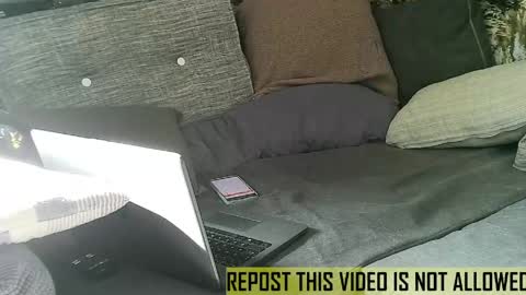 Snapshot of bearlov1 chatting on May 14, 2026, 7:26 am bearlov1 online show from May 14, 2026, 7:26 am